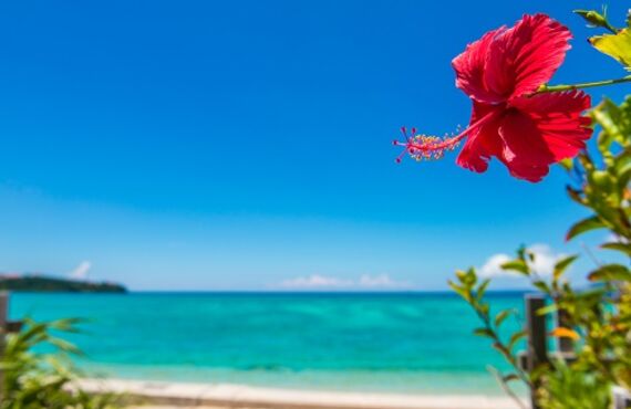 鶴見にある沖縄料理店はデートでも利用できる雰囲気のいいお店です