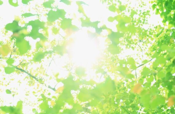 テイクアウトはラクチンで